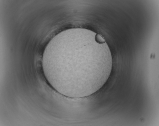 X0000112860038200909041604