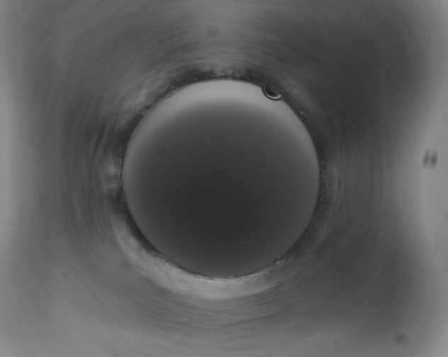 X0000112860039200909041604