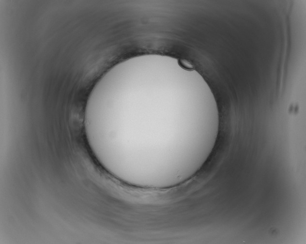 X0000112860040200909041604