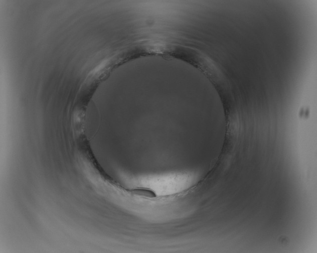 X0000112860043200909041604