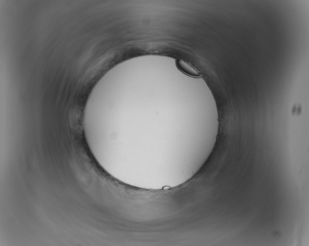 X0000112860044200909041604