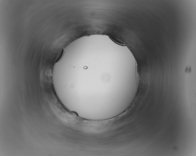 X0000112860045200909041604