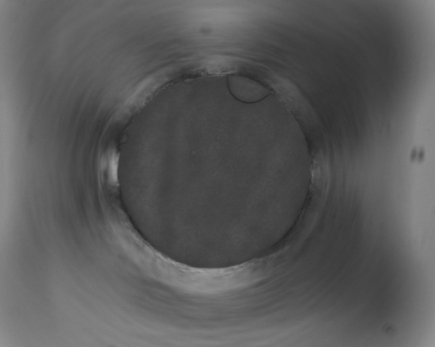 X0000112860046200909041604