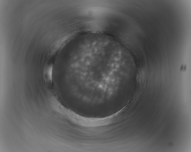 X0000112860047200909041604