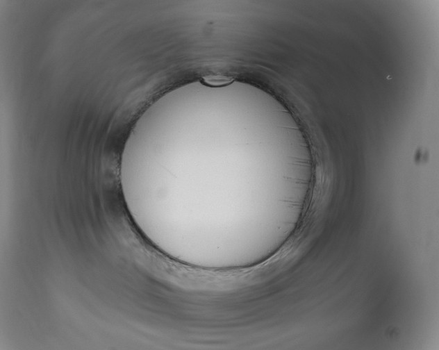 X0000112860048200909041604