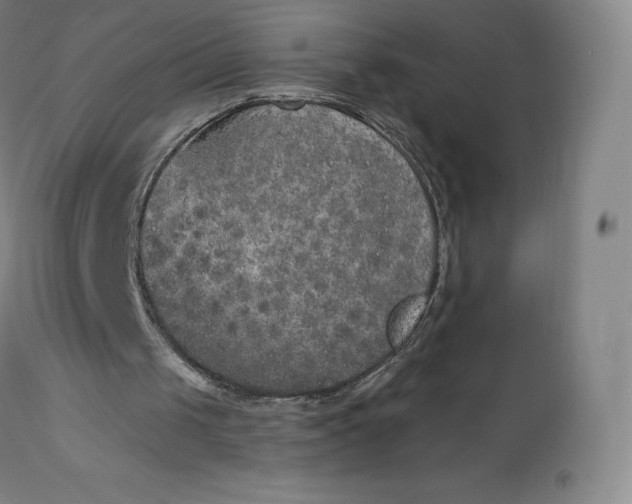 X0000112860049200909041603