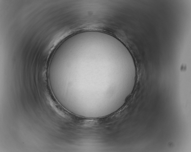 X0000112860050200909041603