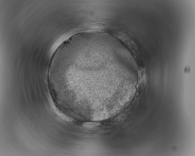 X0000112860051200909041603