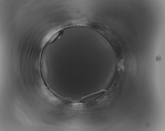 X0000112860052200909041603