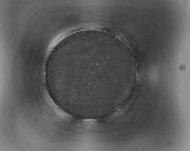 X0000112860053200909041603