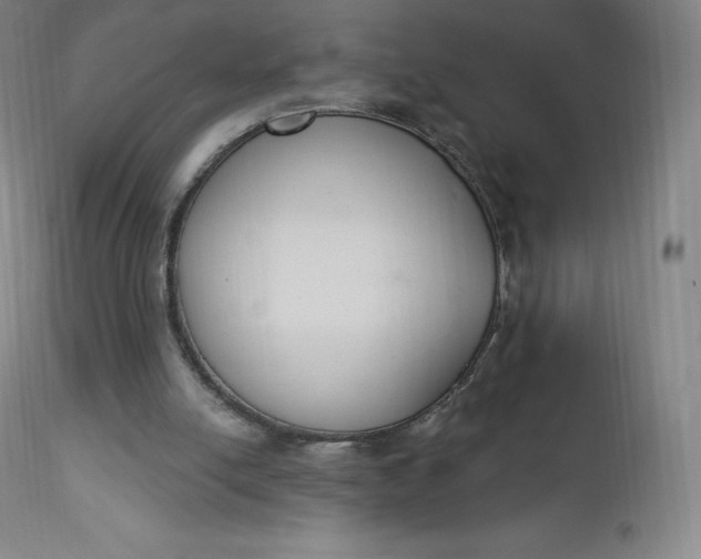 X0000112860054200909041603