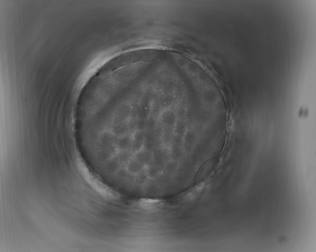 X0000112860055200909041603