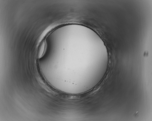 X0000112860056200909041603