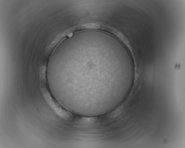 X0000112860057200909041603