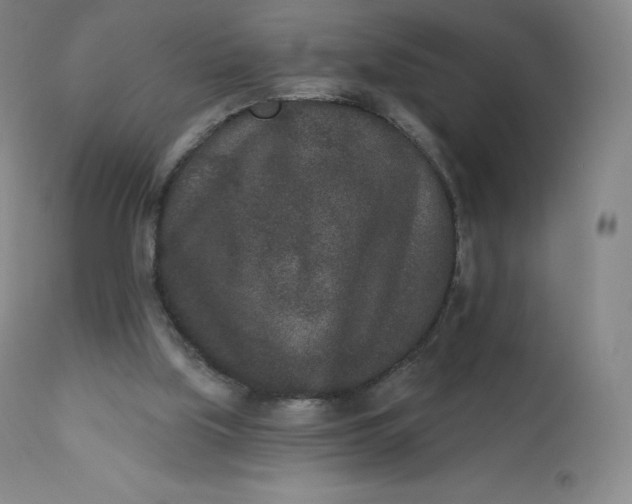 X0000112860059200909041603