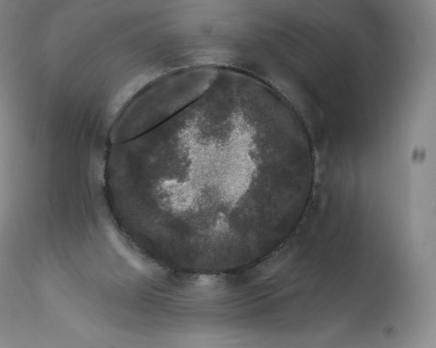 X0000112860060200909041603