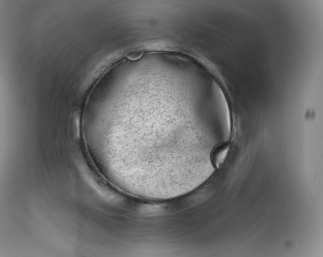 X0000112860061200909041603