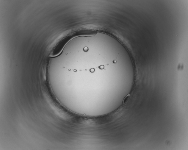 X0000112860062200909041603