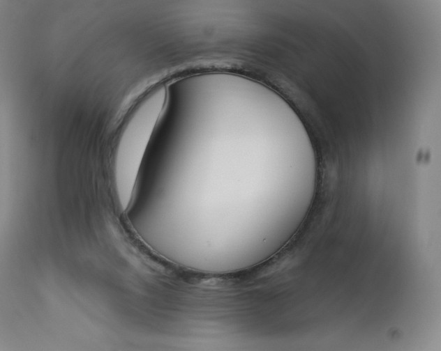 X0000112860064200909041603