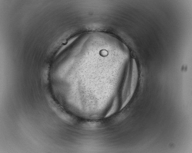 X0000112860065200909041603