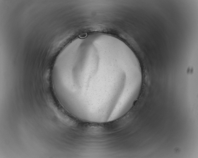 X0000112860066200909041603