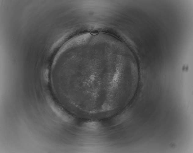 X0000112860067200909041603