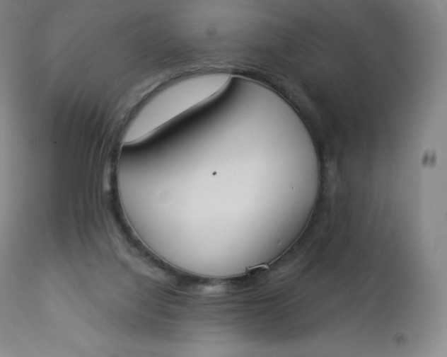 X0000112860068200909041603