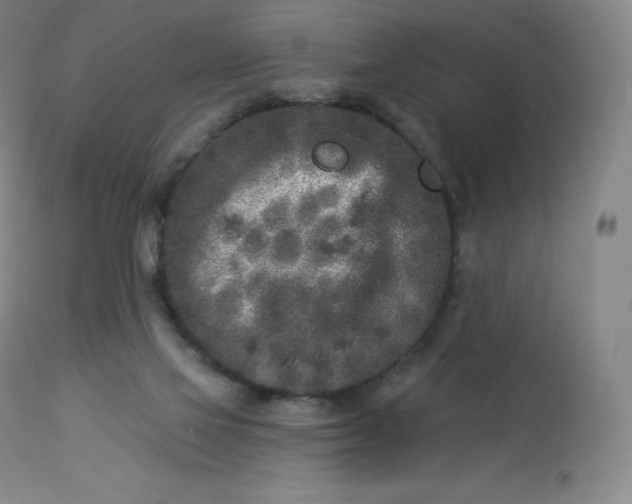 X0000112860069200909041603