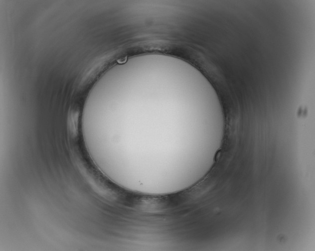 X0000112860070200909041603