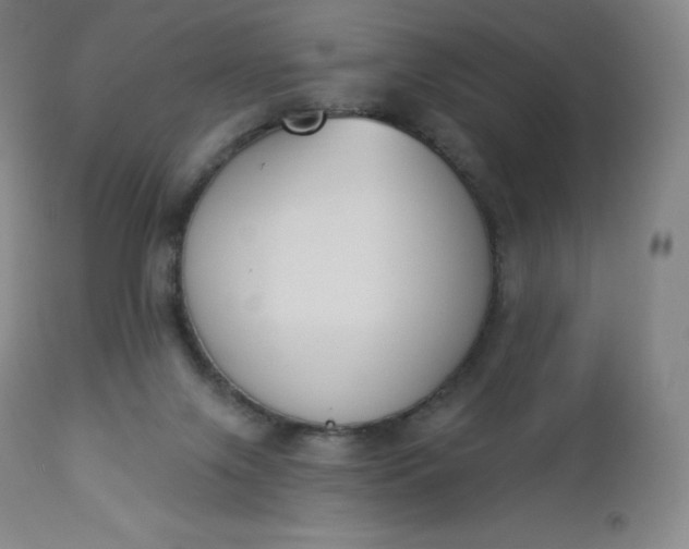 X0000112860071200909041603