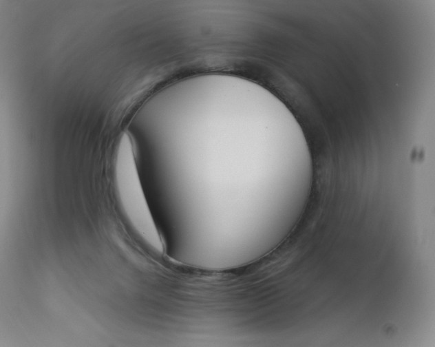 X0000112860072200909041603