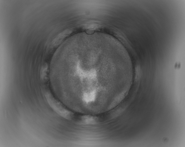 X0000112860073200909041603