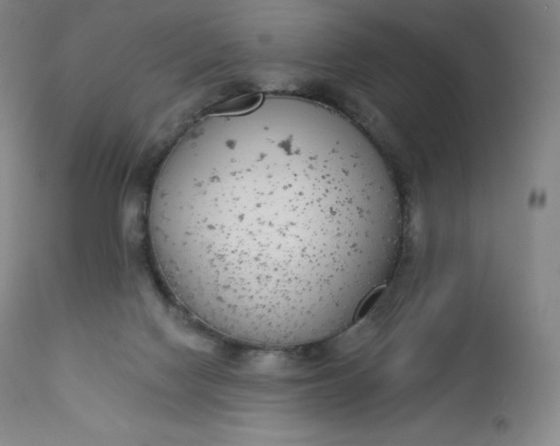 X0000112860074200909041603