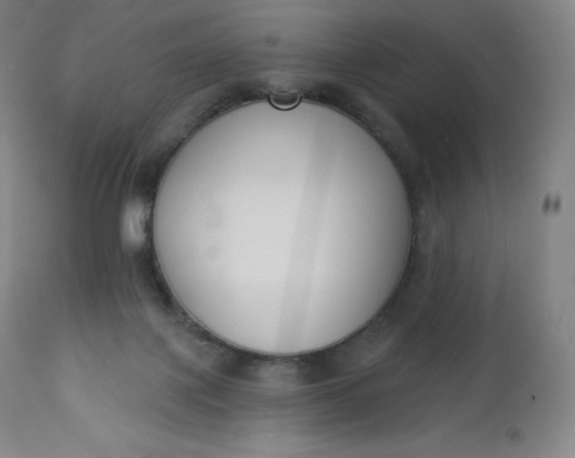 X0000112860075200909041603