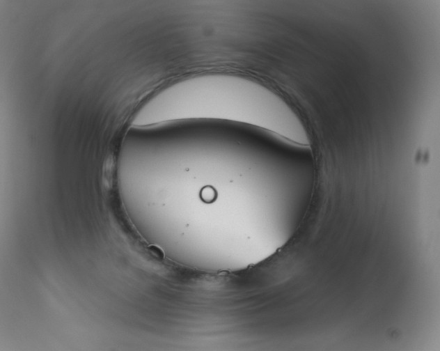 X0000112860076200909041603