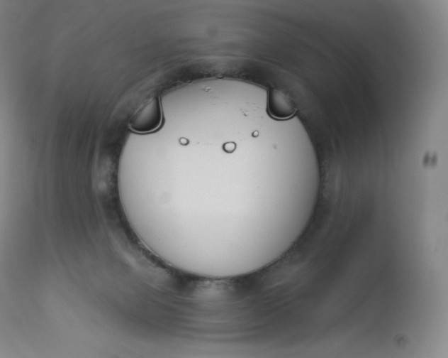 X0000112860077200909041603