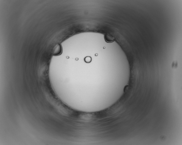 X0000112860079200909041603