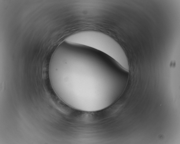 X0000112860080200909041603