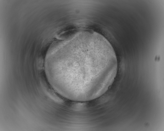 X0000112860081200909041603