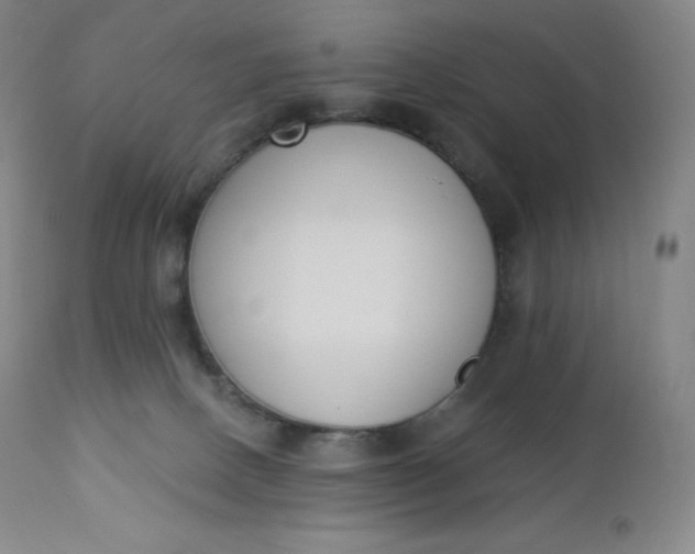 X0000112860082200909041603