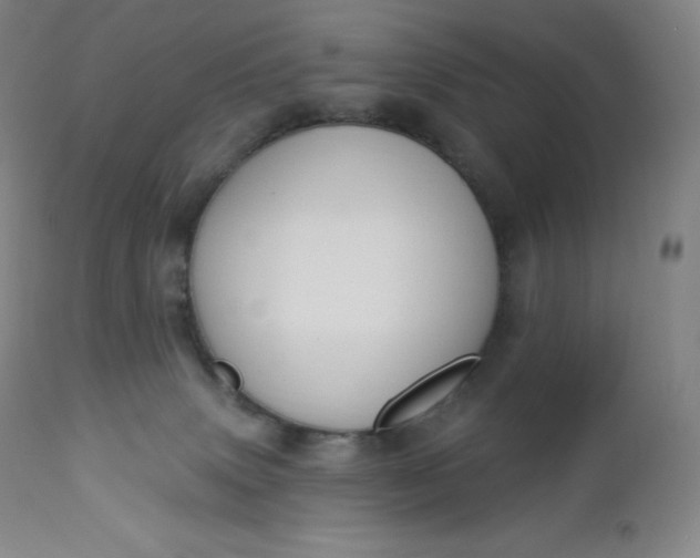 X0000112860083200909041603