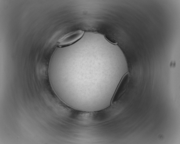 X0000112860084200909041603