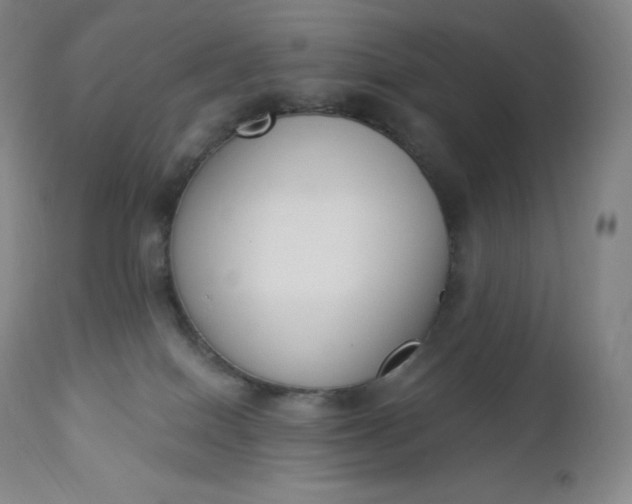 X0000112860086200909041603