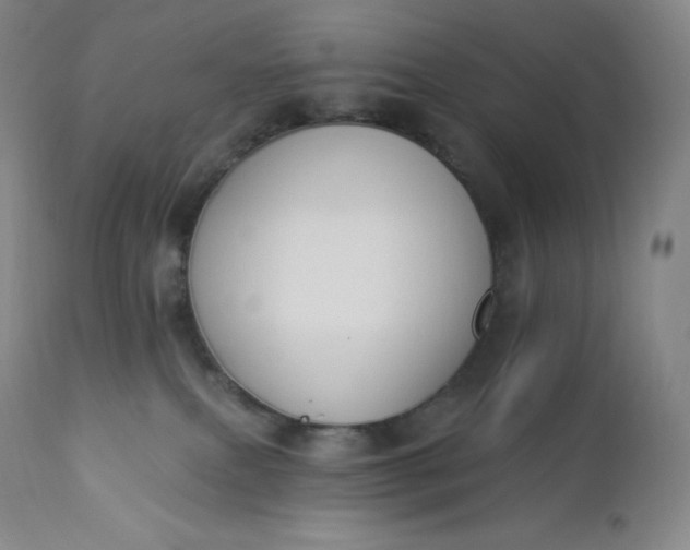 X0000112860087200909041603