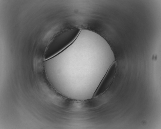 X0000112860088200909041604