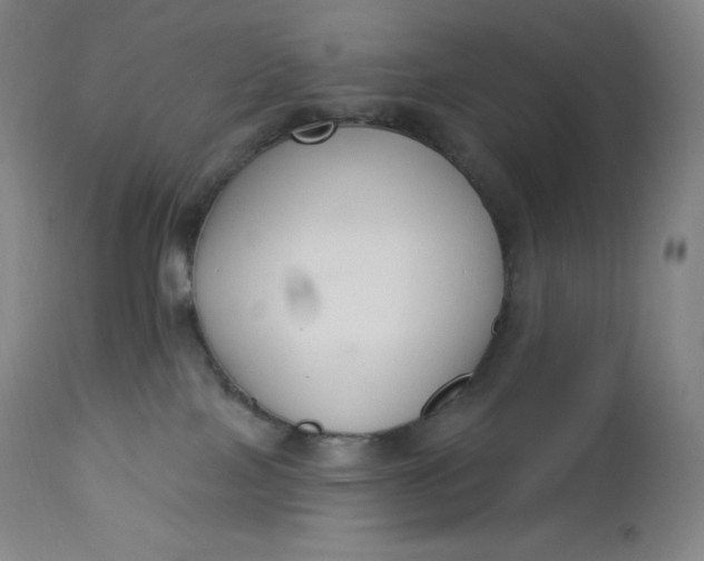 X0000112860089200909041604