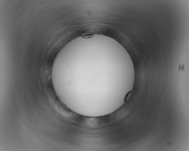 X0000112860091200909041604