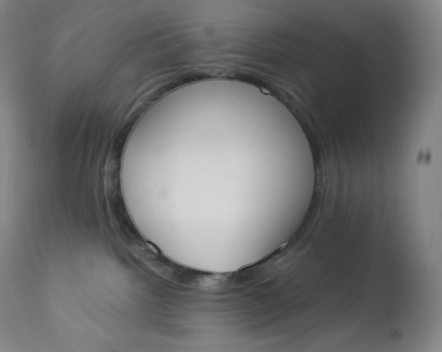 X0000112860092200909041604