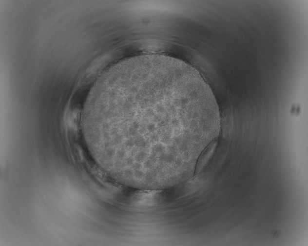 X0000112860093200909041604