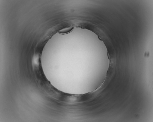 X0000112860094200909041604